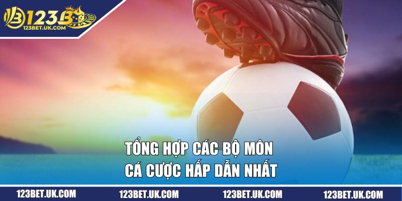 Cá Cược Bóng Đá 123BET Bứt Phá Kèo Hot Dành Thắng Đậm 2 Tổng hợp các bộ môn cá cược hấp dẫn nhất